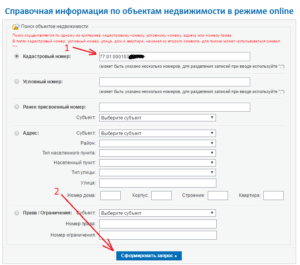 Шаг №2 - ввод кадастрового номера