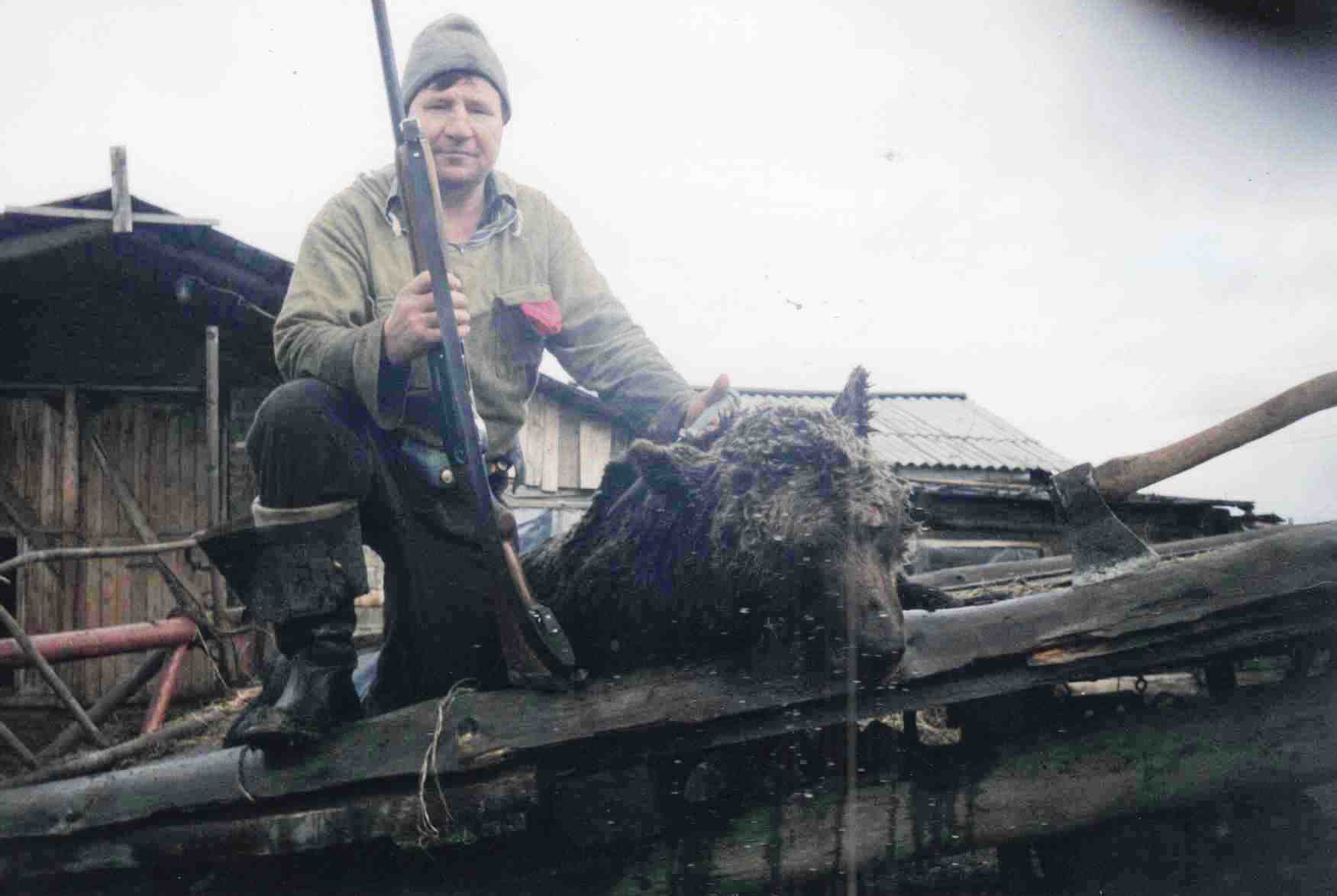 1998 год, Доника А.Д., д. Берег, медведь убит из ружья, вес 250 кг, возраст 5 лет, 30 литров медвежьего жира