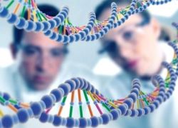 Сколько стоит анализ ДНК на отцовство
