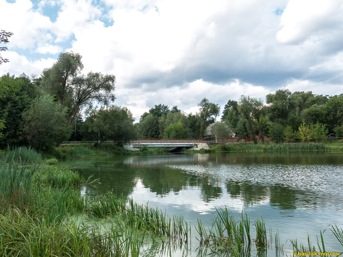 Кратовское озеро. Верёвочный парк. Кратово. Московская область. Август 2017