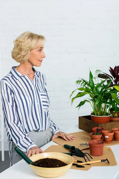 Pensive Senior Woman Looking Away While Cultivating Potted Plants Home — стоковое фото