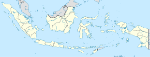 Метро (город) (Индонезия)